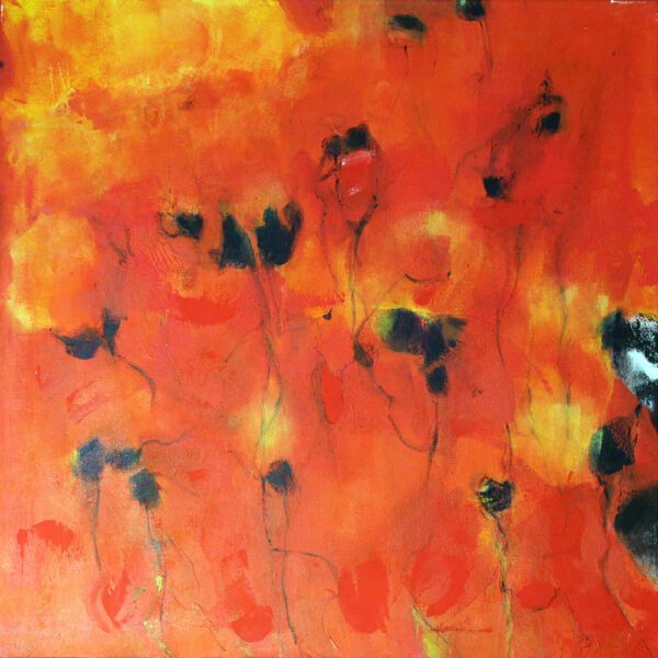 Les Coquelicots