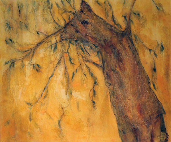 Olivenbaum-Traum