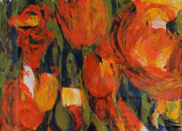 Tulpen